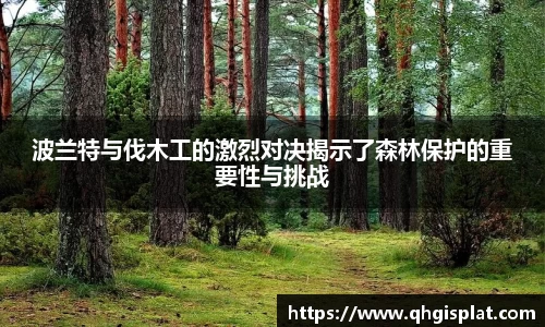 三亿体育有限公司